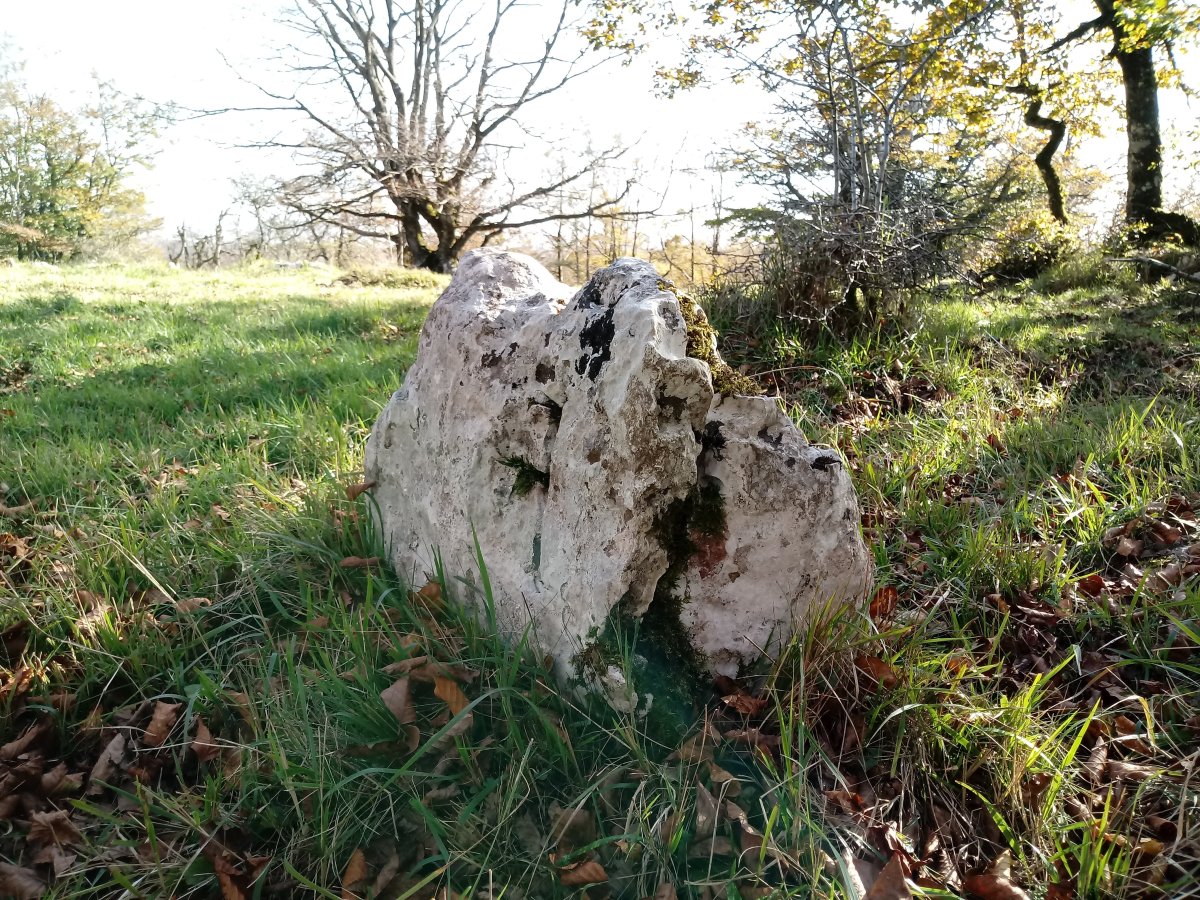 Gainsoil zutarria 2