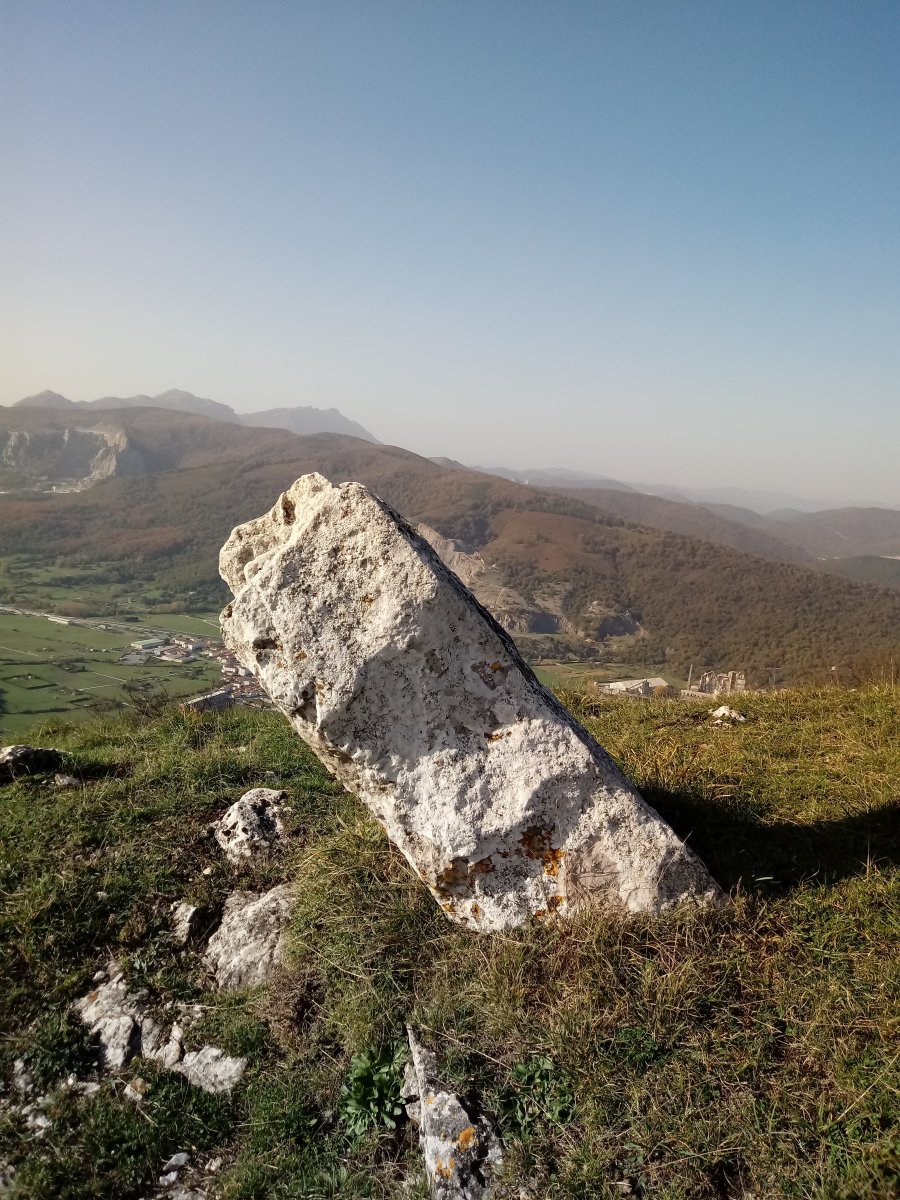 Zelaiaundi zutarria  3