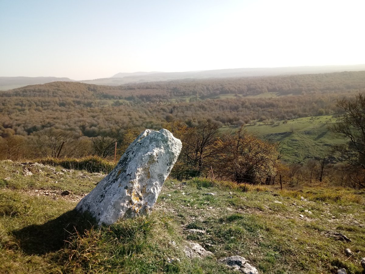Zelaiaundi zutarria  2