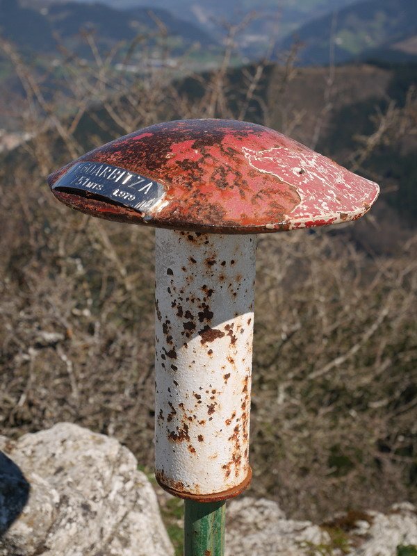 Txartelontzia