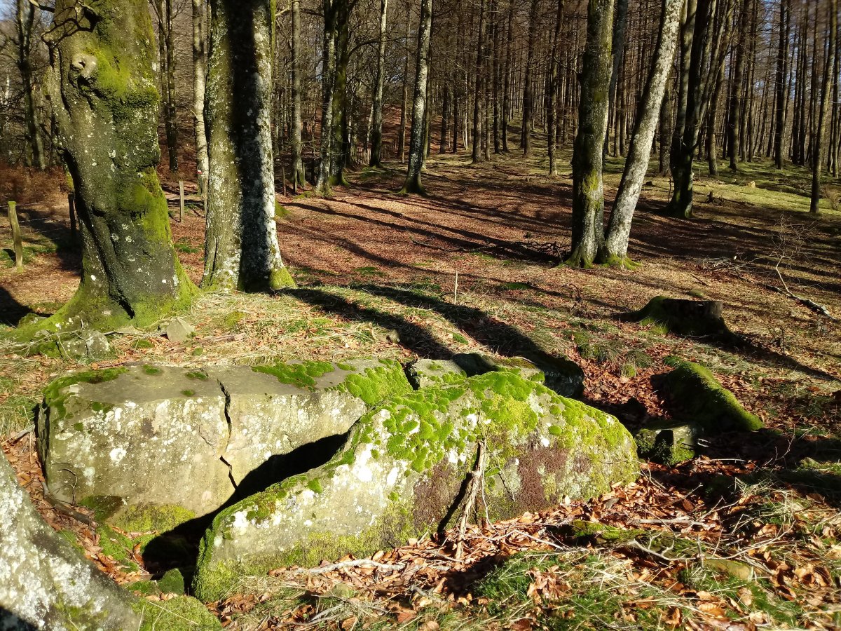 Beotegiko Murkoa 3