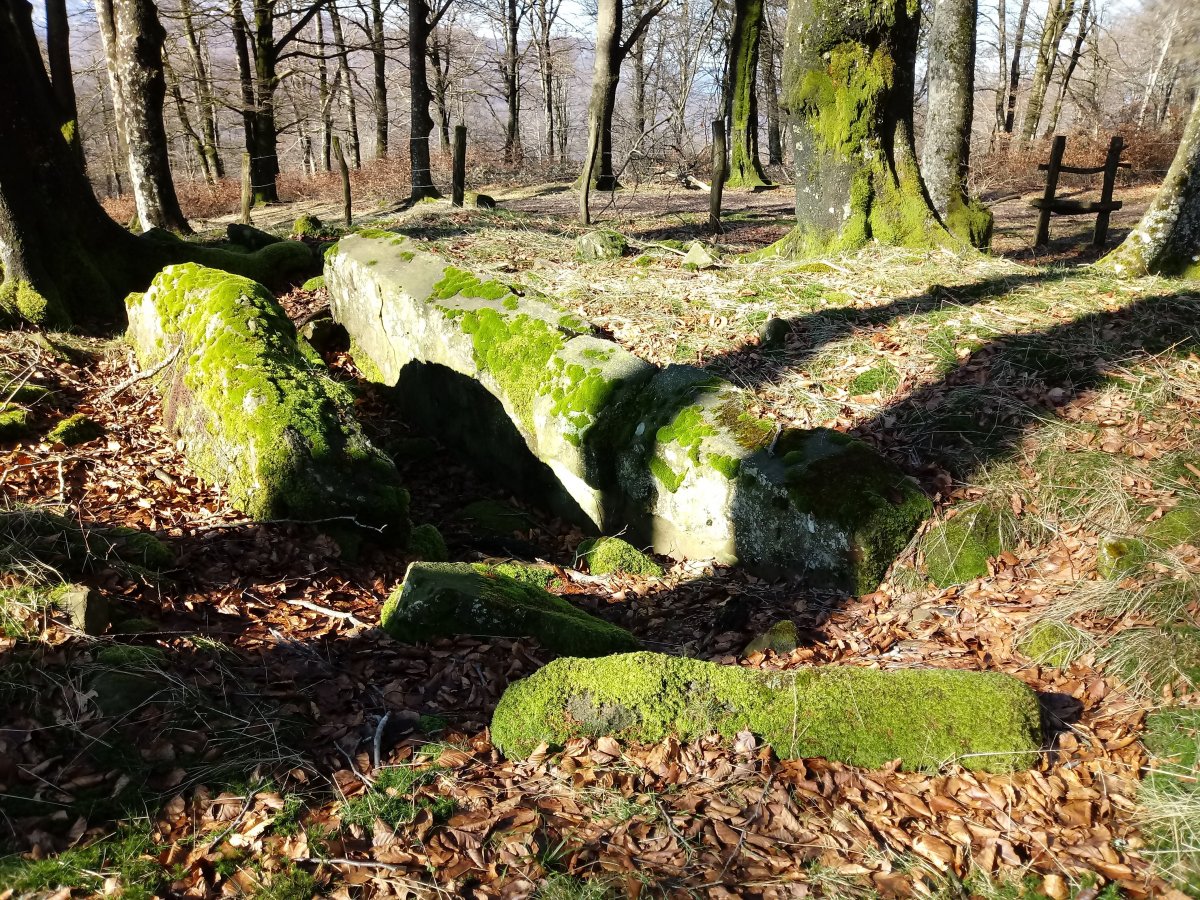 Beotegiko Murkoa 2