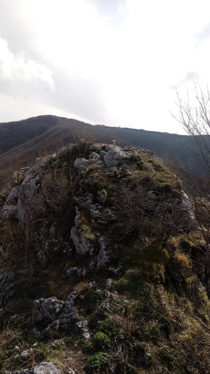 Arriona (934m) tontorra