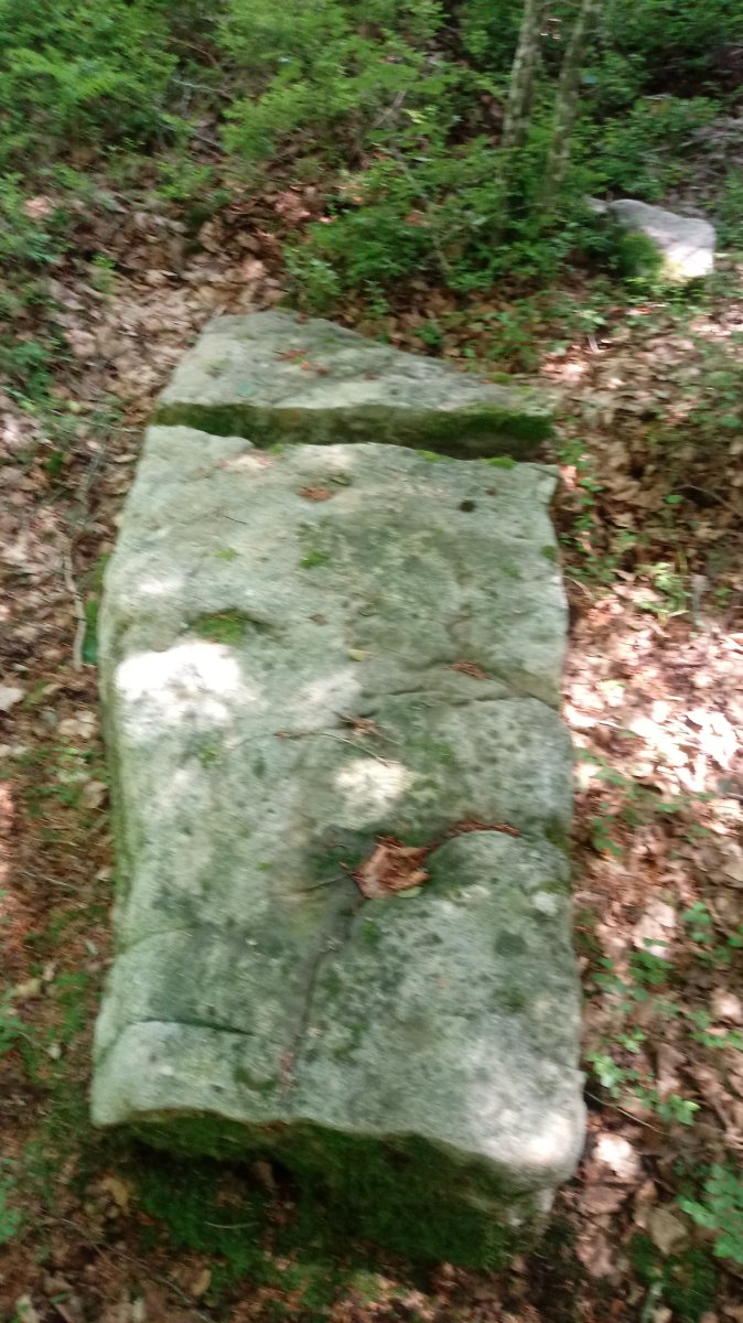 Irazteko Larrea zutarria 2