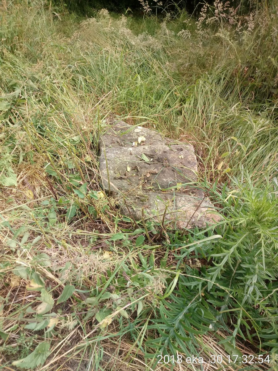 Otegi trikuharria 3