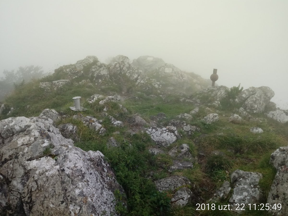 Mugarra, tontorra