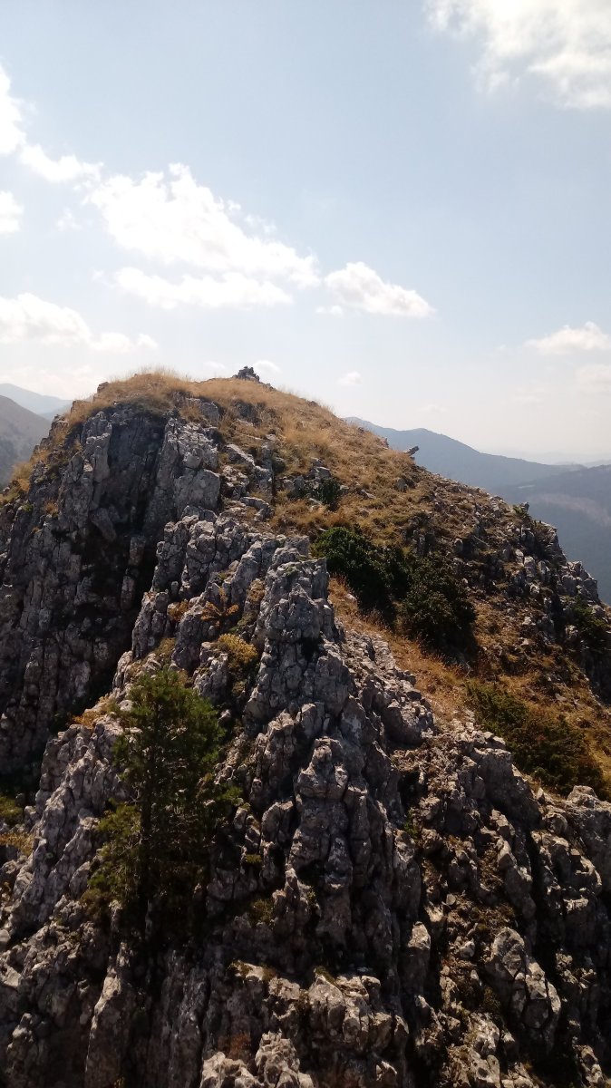 Larratza (1587m), tontorra