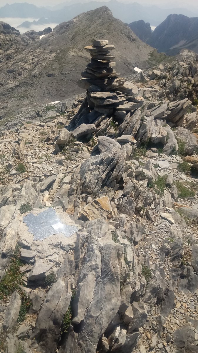 Anelarra, tontorra, eta plaka