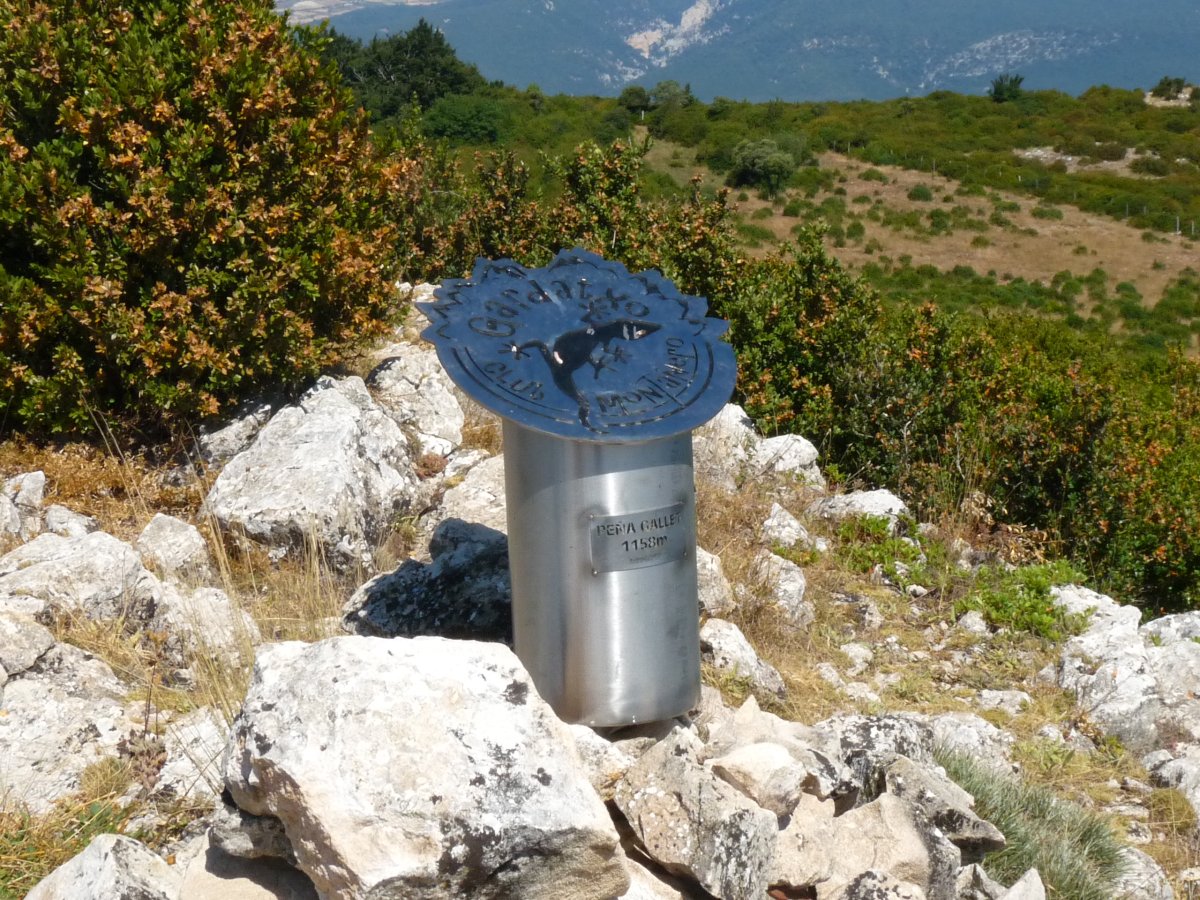 Txartelontzi berria
