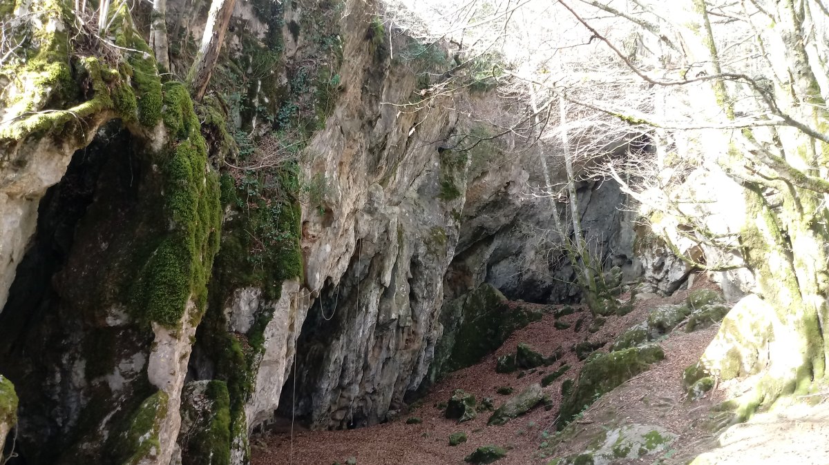 Otxarreta leizea