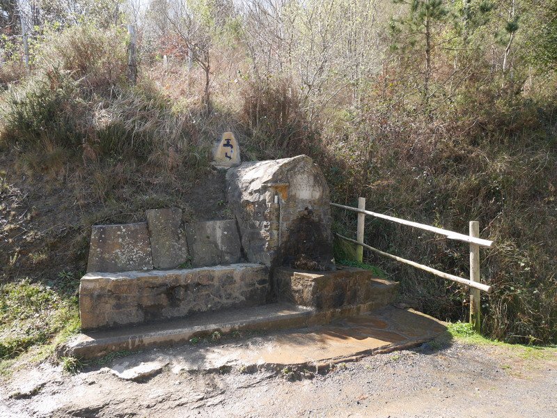 Kolitza iturria