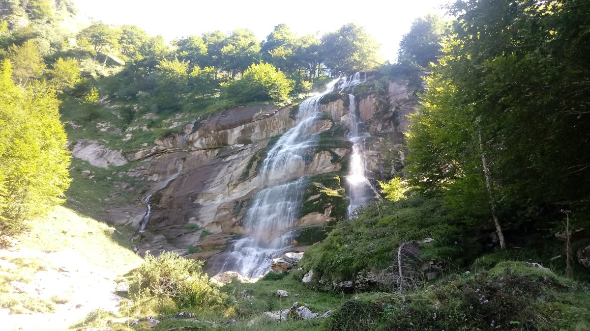 Pistako urjausia