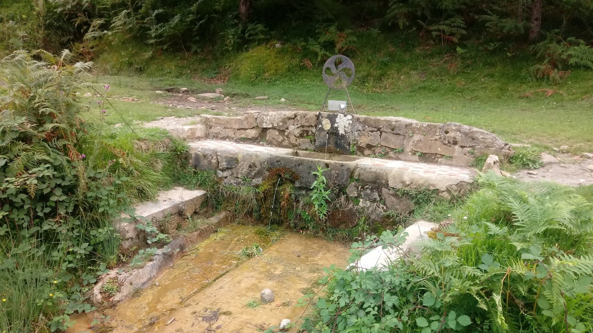 Trukarriaga iturria