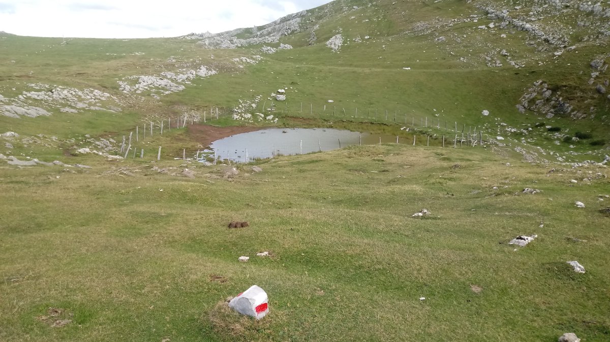Biozkornako Lepoa