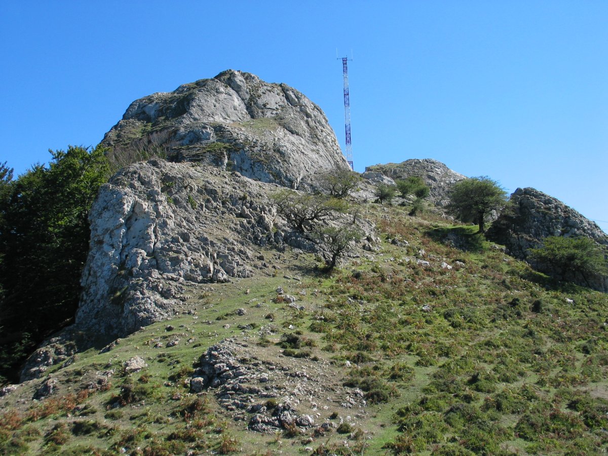 Tontorraren ingurua
