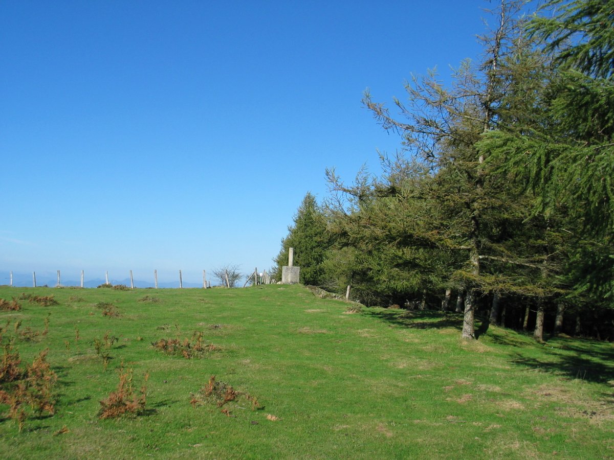 Tontorra