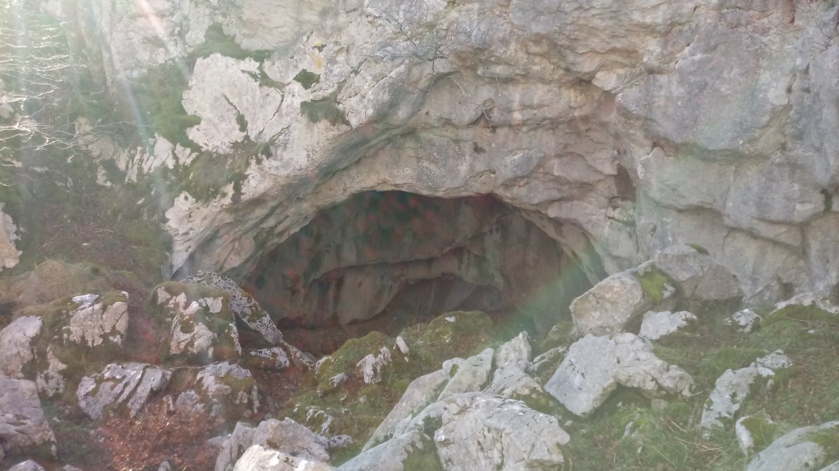Arkuaxpe haitzuloa