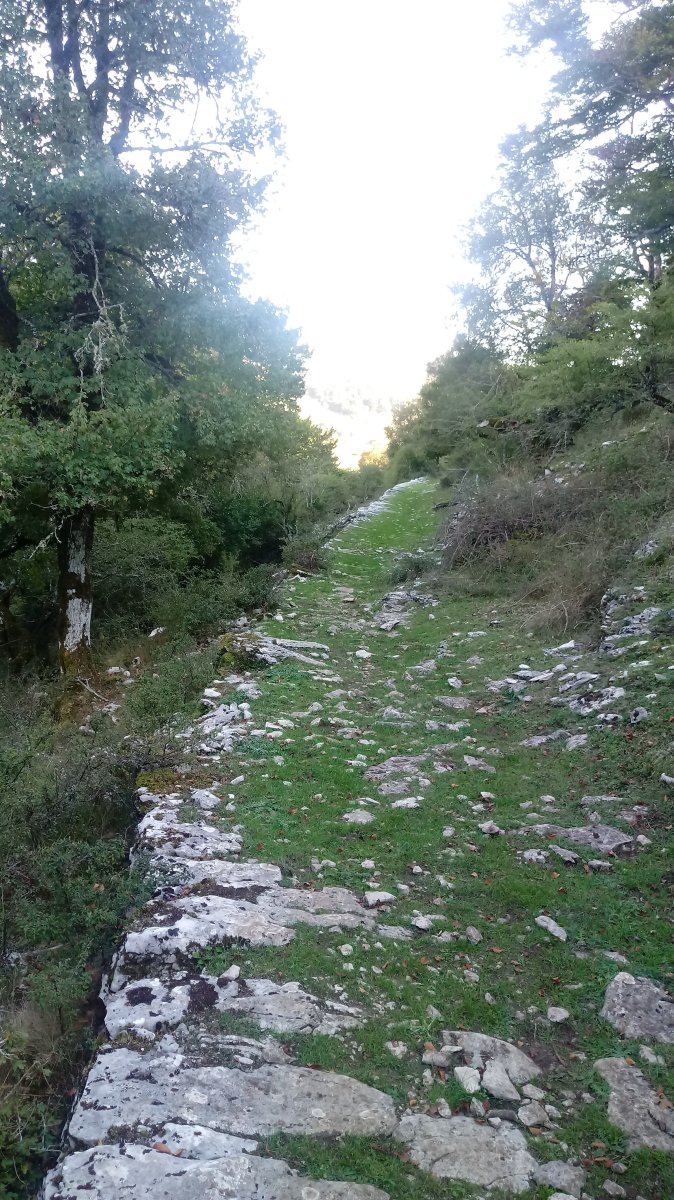 Zalbideko galtzada