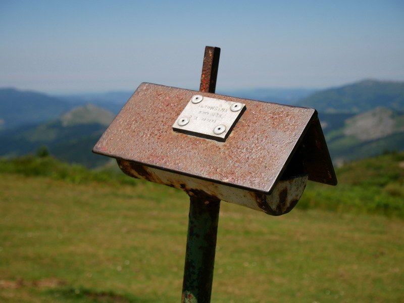 Txartelontzia