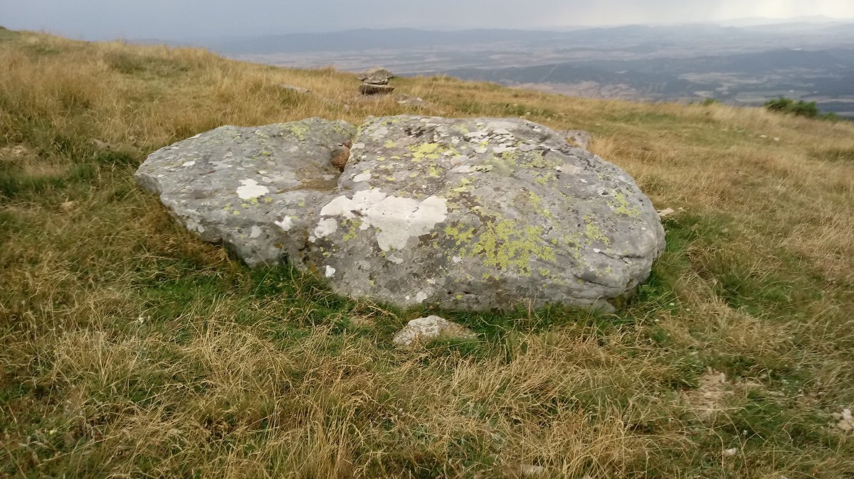 Pinpil I zutarria