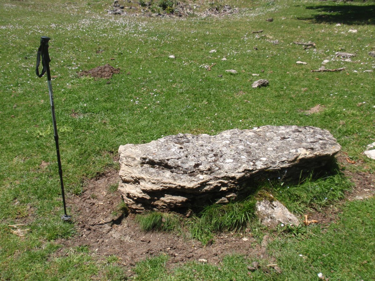 RASOS DE EZPOLA 3
