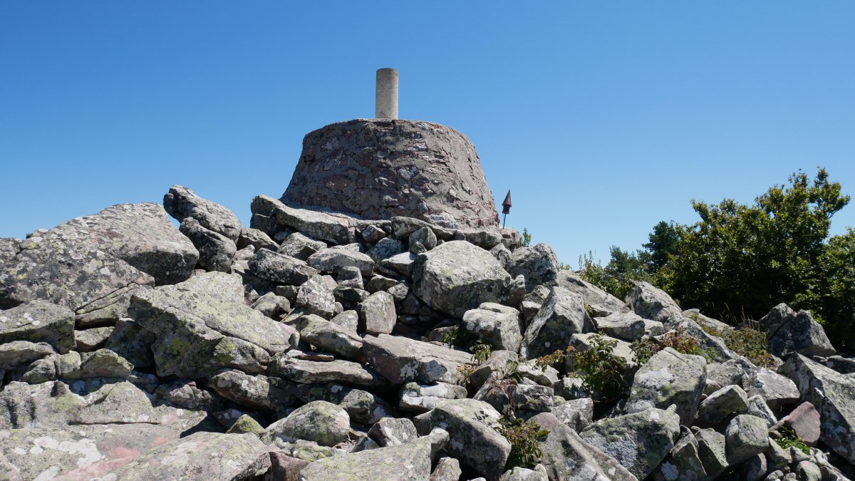 Baigura, tontorra