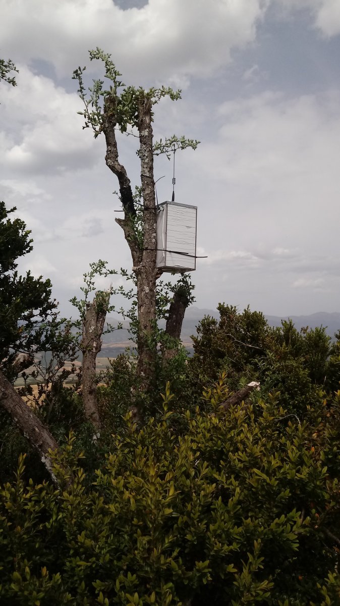 Menditxusia (1338m) tontorreko antena