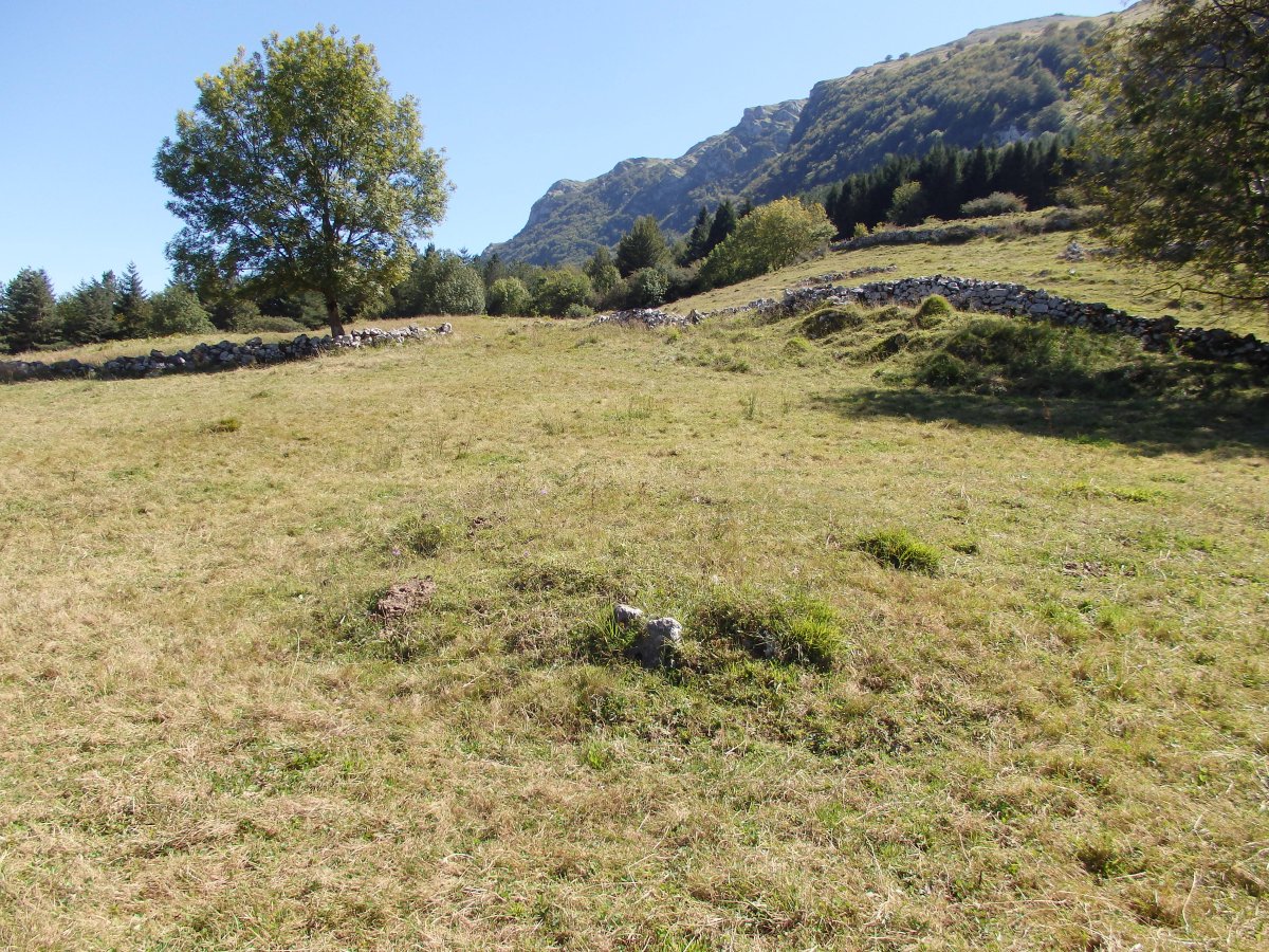 LARRONDO II