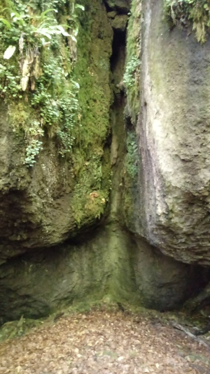 Iguaran haitzuloa