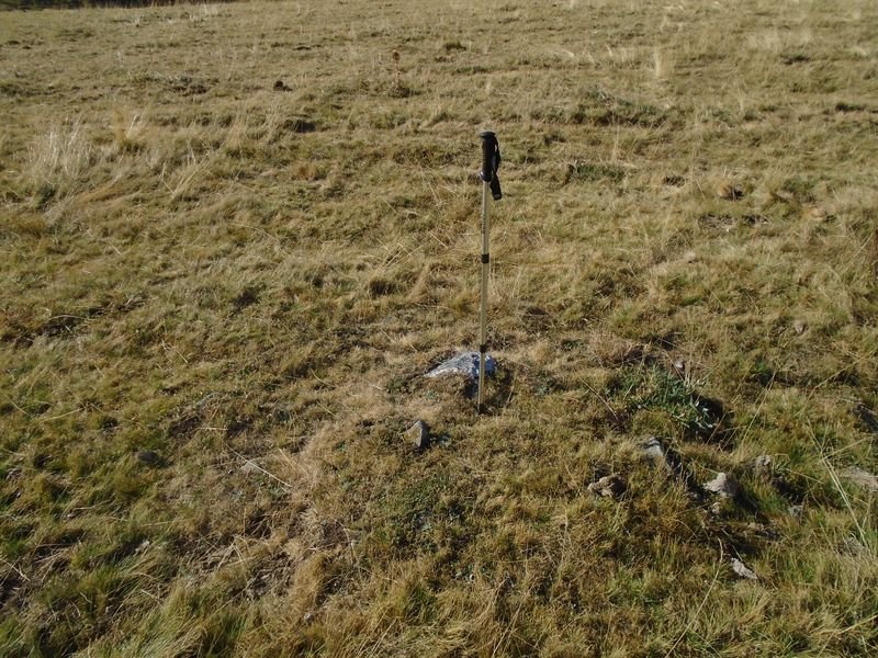 carrusco 