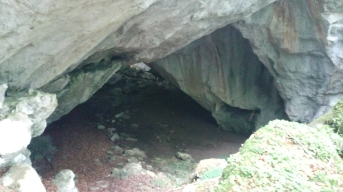 Otsoitako haitzuloa