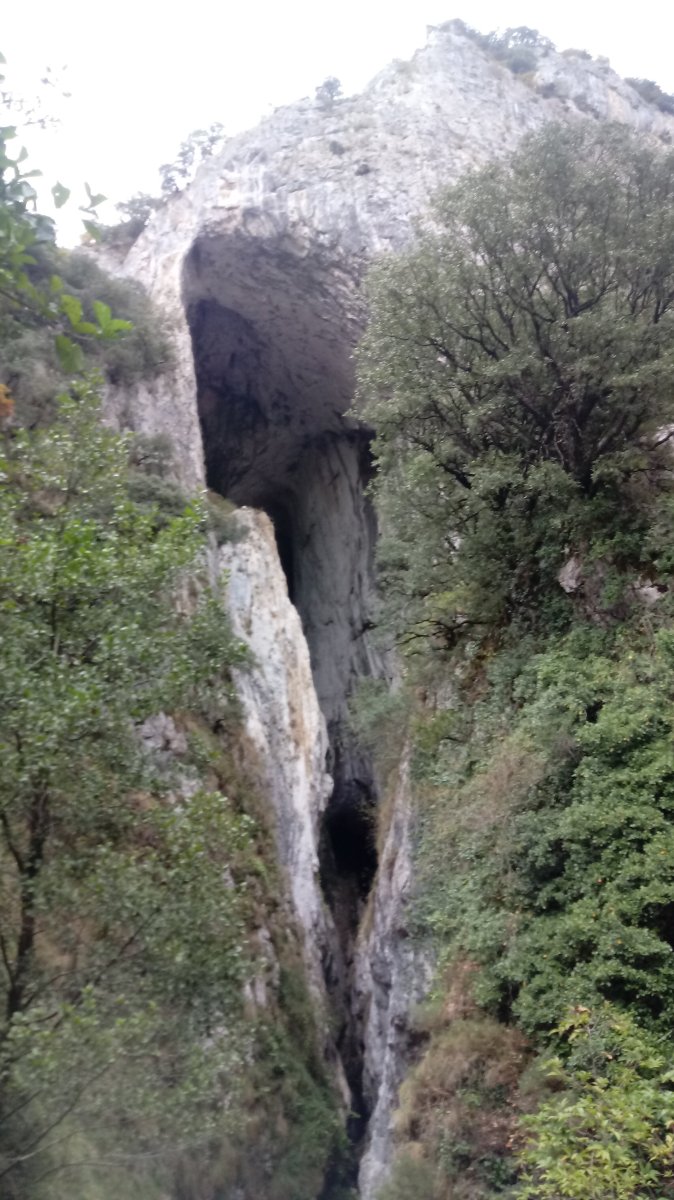 Jentilkoba