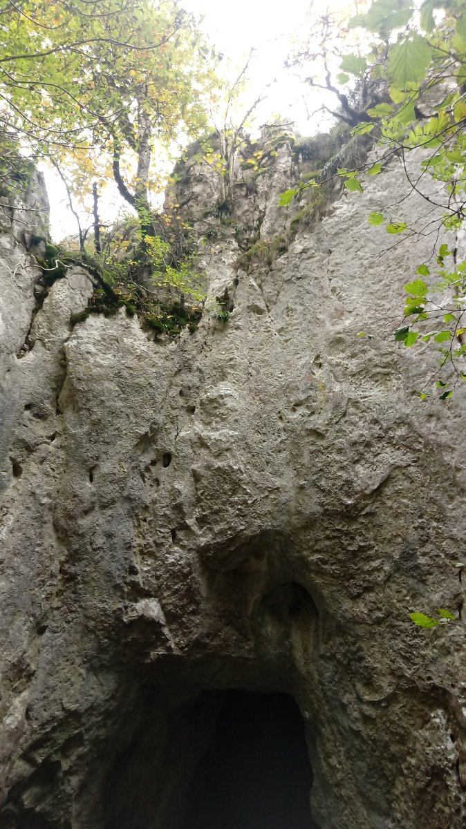 Eginoko Begia