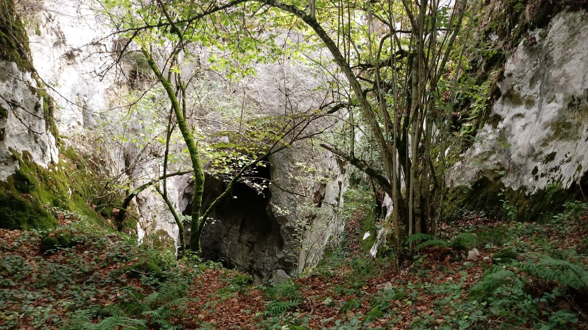 Eginoko Begia