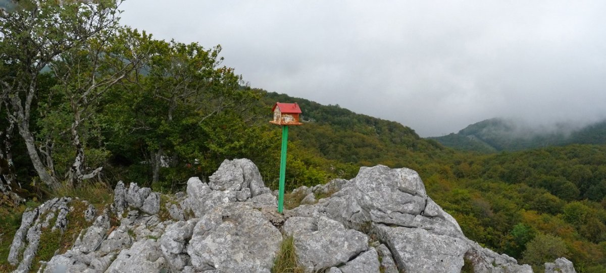 Linategieta