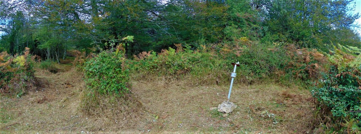 Tontorra