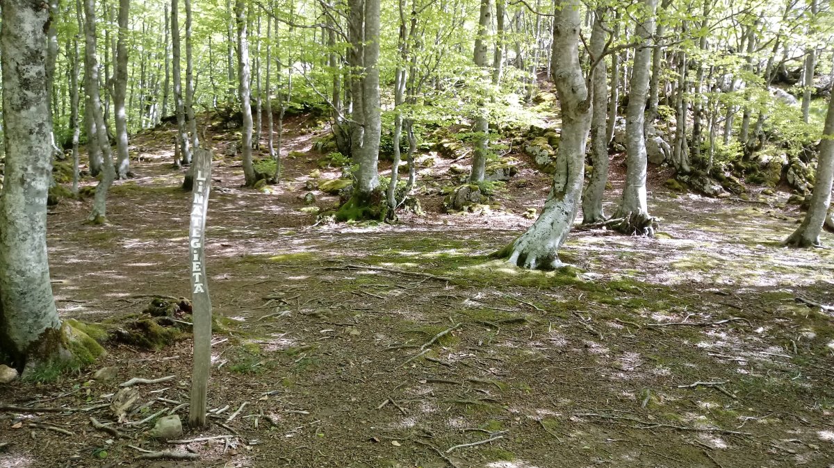 Linategieta