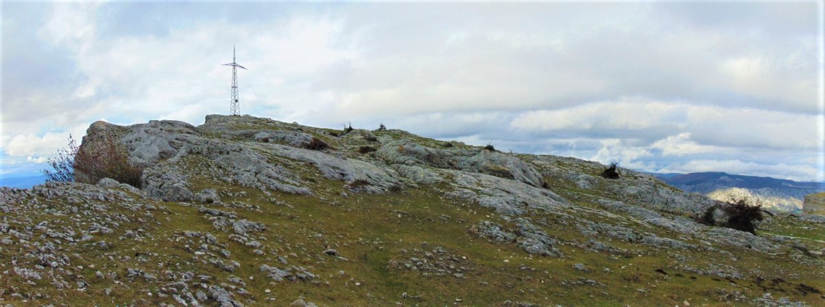 Tontorra