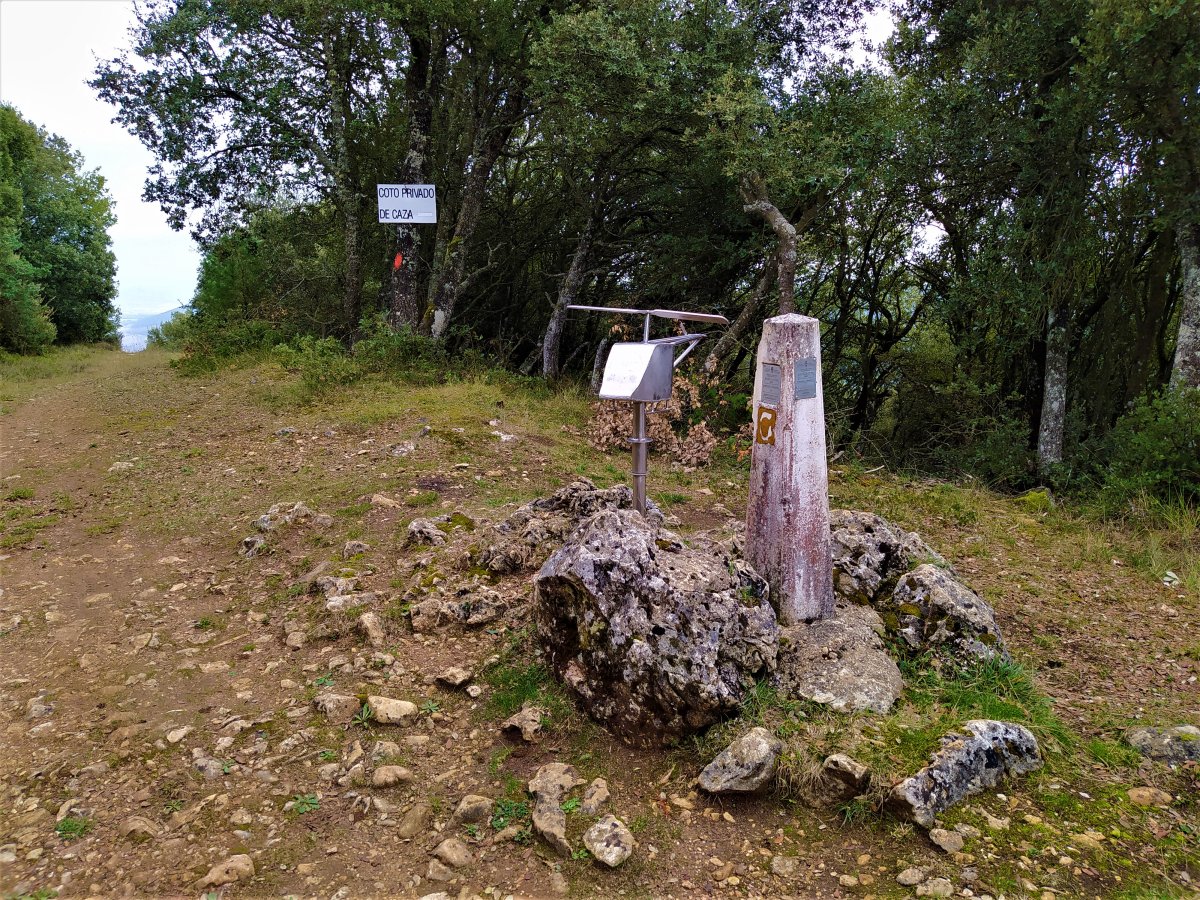 Tontorra
