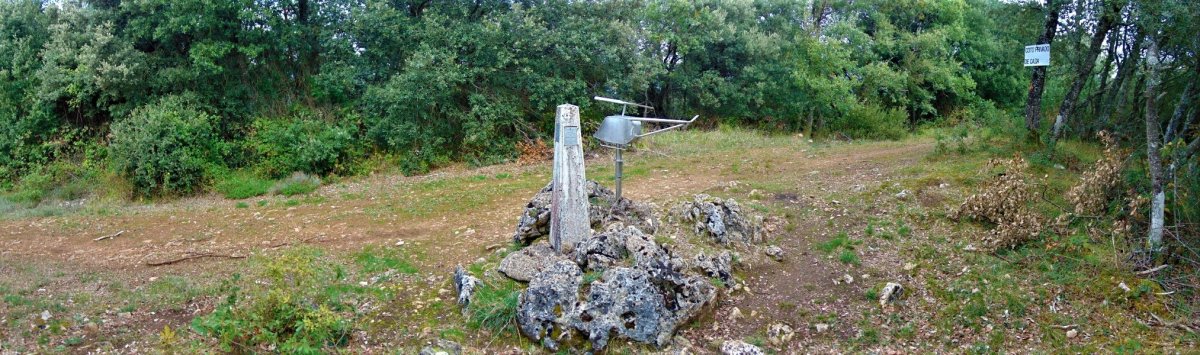 Tontorra