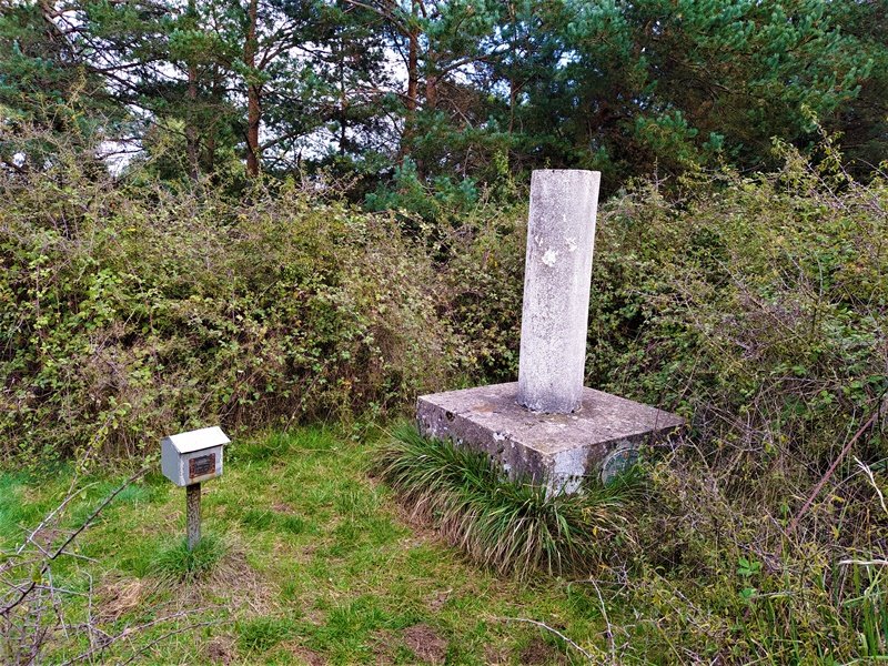 Tontorra