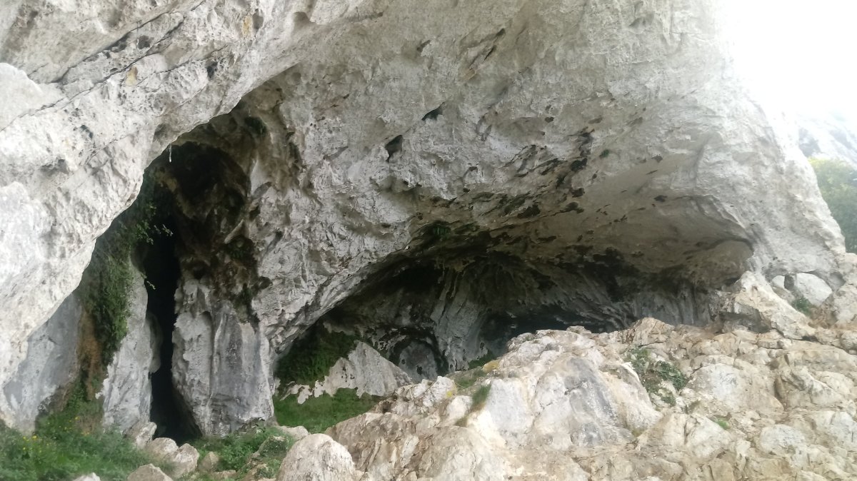 Sagastakoba