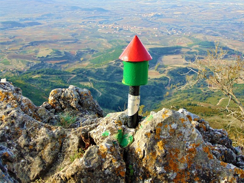 Buzoia