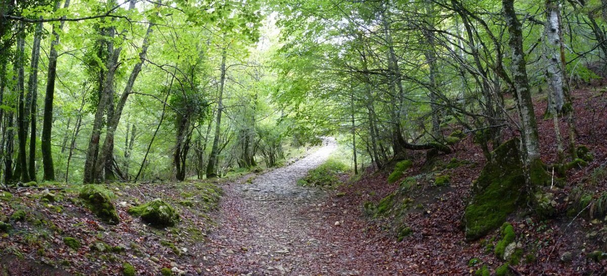 Andoingo galtzada