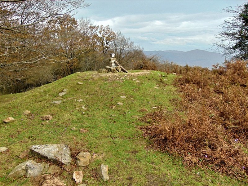 Tontorra