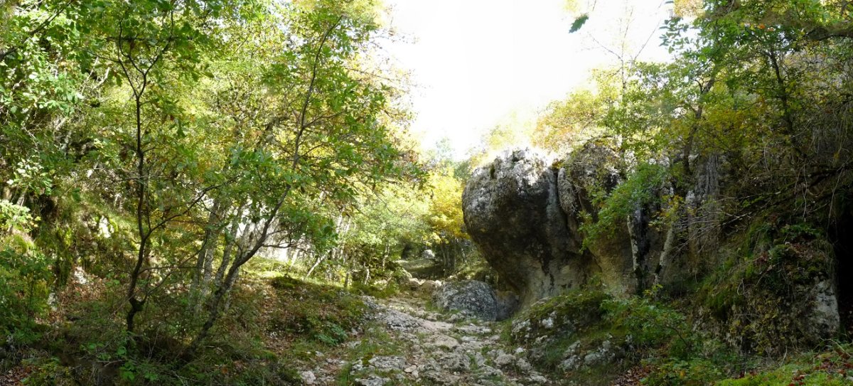 Guesalko harratea