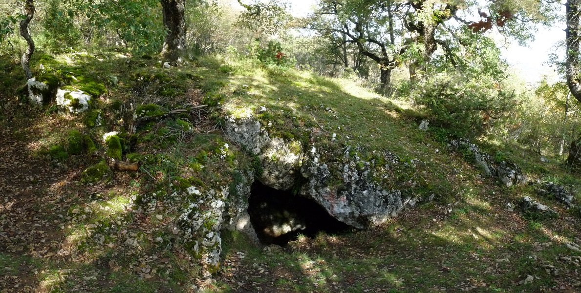 Obiko harpea