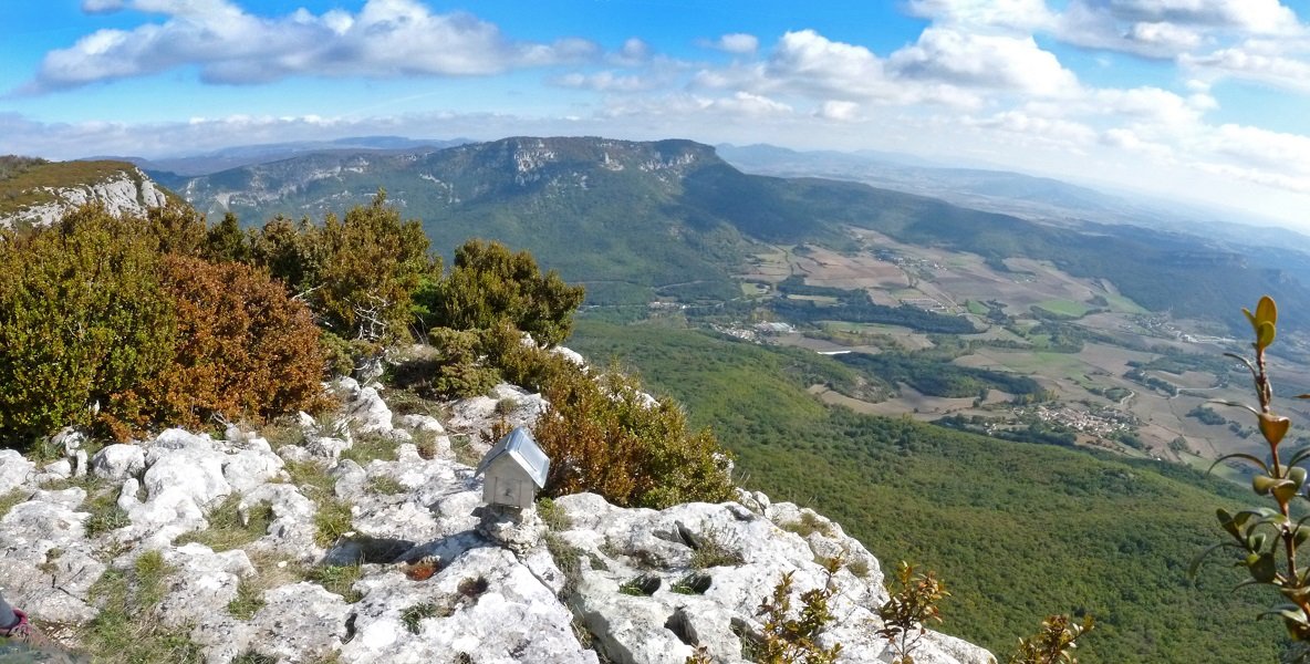 Ibiringo gailurra
