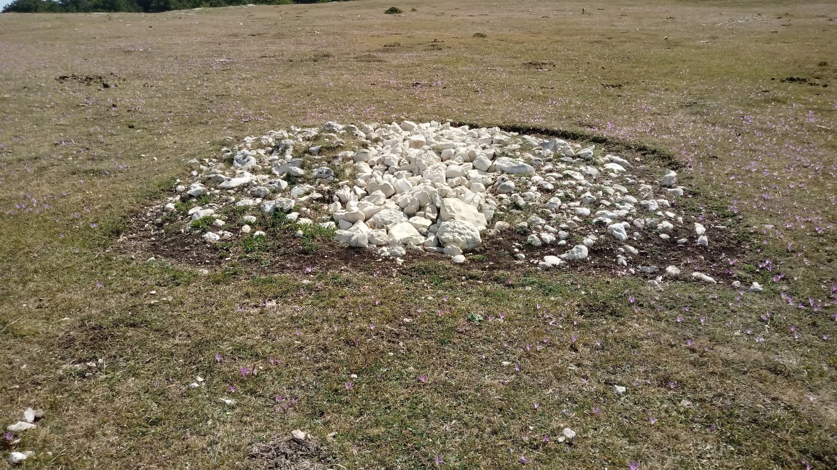 Atau II tumulua