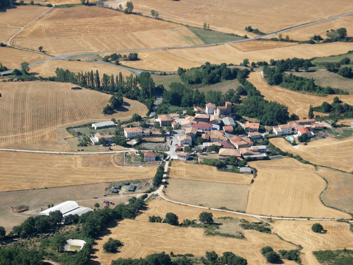 Ollo